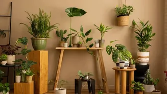 Why Humidity-Ready Materials Is Central To The Monsoon Decor Shift