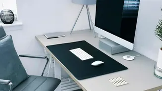 Ergonomic Desk Setup Fundamentals: Prevent Lower Back Pain With Simple Adjustments