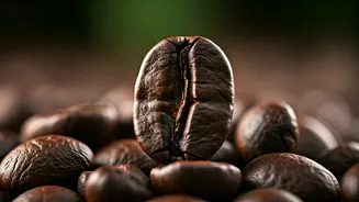 Regional Coffee Lovers Have A New Reason
