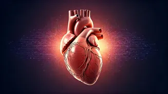 Related Stories banner