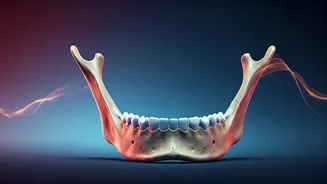 Unlocking Emotional Release: The Power of Deep Jaw Release Therapy