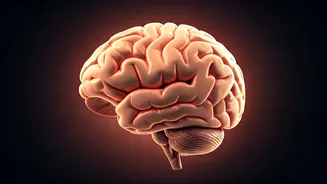 B12 Deficiency: Indians' Energy, Mood Impacted