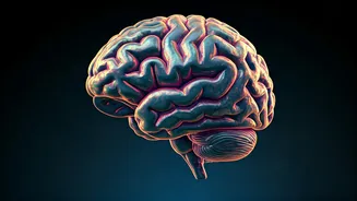 Brain Rhythms: Defining Self & World