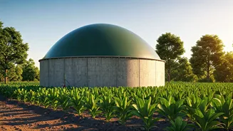 Goa Farmstay's 35-Year Biogas Success: A Sustainable Solution Amidst India's LPG Woes