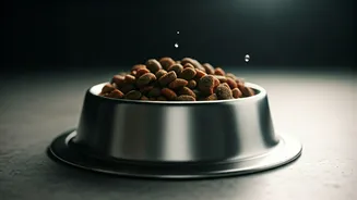 Cleaner Bowls Are The New Pet-Care Status Symbol