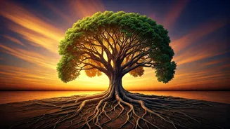 10 Profound Life Lessons Most People Discover Too Late