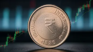 Navigating India's Stock Market: Trends, Insights & Opportunities