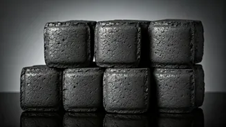 Bharat Coking Coal IPO: An Investor's Primer