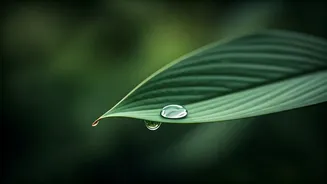 The Mindful Way To Enjoy Every Monsoon Bite