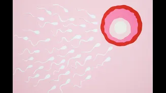 Como a ansiedade e o estresse influenciam a fertilidade