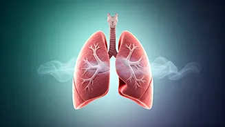 Breathe Easy: The Rise of "No-Sweat Calm" Breathwork Over Intense Gym Workouts