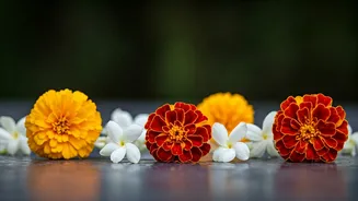 Why Your Room's Aesthetic Needs Native Flowers Now