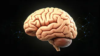 Space Travel's Impact: How Flights Alter the Body