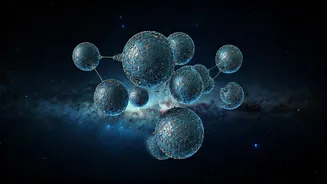 Could Dark Matter Be a Quantum Network?