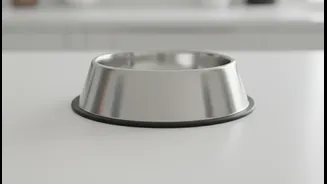 Indian Pet Parents Need Smarter Bowl Planning