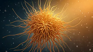 Beat the Late-Winter Slump: Your Immune System's Crucial Transition