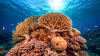 Explore Incredible Destinations: Unforgettable Travel Experiences