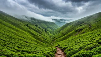 Green Cloud Covered Hills Lonavala Mahabaleshwar Beckon Eco Conscious Trekkers