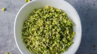 Why Quick Sprouts Chaat Offers A Fresh High Protein Kick On Busy Mornings