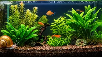 5 Aquarium Wonders: Natural Cleaners for Your Tank