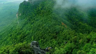 Explore Bhandardara Beautiful Waterfalls And Fog-Covered Heights On Monsoon Road Trips