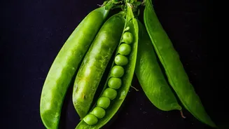 Simple Way To Make Crispy Green Peas For Low-Carb Evening Snacking Needs
