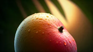 India’s Mangoes Are Winning The World’s Sweet Tooth