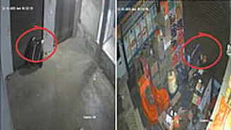 CCTV Footage: 2 Thieves Cloaked In Blanket Break Shop Shutter, Steal Cash & Valuables In MP’s Chhatarpur - VIDEO