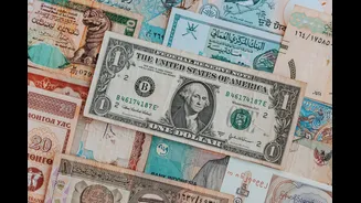 Foreign Contribution (Regulation) Amendment Bill Referred to Joint Parliamentary Committee