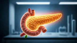 Signs Your Insulin Resistance is Easing: What to Watch For in Your Body