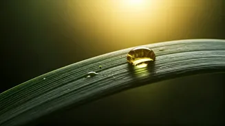 Related Stories banner