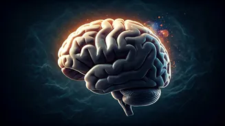 The Vivid Dream Trap: Why Restless Nights Make Dreams Feel Hyper-Real