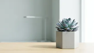 How To Automate Your Emergency Fund Growth Using AI Hacks That Block Unused Subscriptions