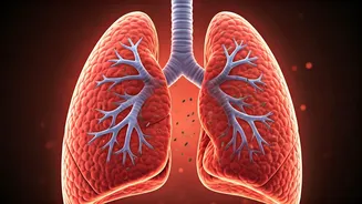 Air Pollution's Silent Assault: How It Damages Your Health