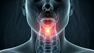 Your Voice: A Crystal Ball for Chronic Disease Detection and Vocal Well-being