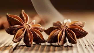 How to grow star anise indoors