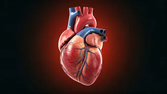5 Drinks for Heart Health: Protect Your Arteries