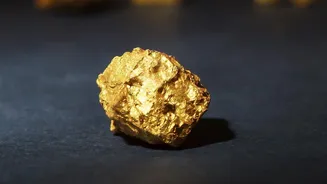 Physical Gold vs Digital Gold vs Gold ETFs: Which Instrument Delivers Maximum Returns Net-of-Fees