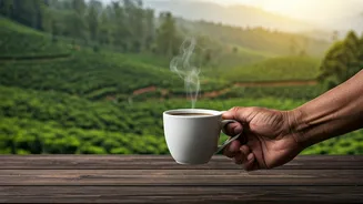 Coorg Estate Owners Welcome Youth Groups With Hot Coffee