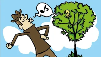 We bet you didn't know whistling was this beneficial!