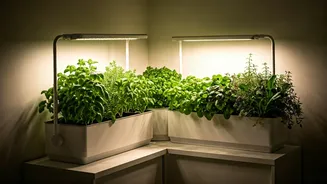 Grow Lights Turn Corners Into Tiny Farms