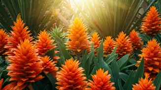 India's Allure: 10 Stunning Destinations