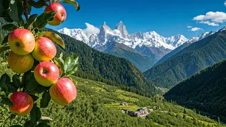 Uttarakhand’s Apple Valley Is Calling Nature Travellers