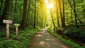 Climate-Aware Travel Is More Than Greenwashing Today