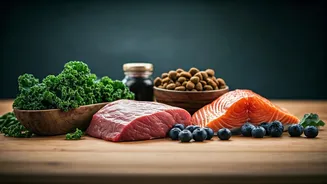 Why Quality Nutrition Sourcing Is Main Topic Across Pet Forums