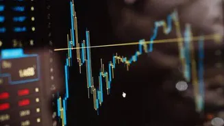 BSE, NSE and MCX remain open on Raksha Bandhan