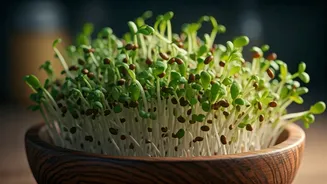 The Healthier Way To Enjoy Everyday Sprouts