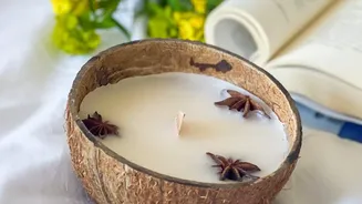 A Coconut Shell Planter Is Temporary, Not Maintenance-Free