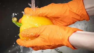 Monsoon Food Safety: Why Time And Temperature Matter