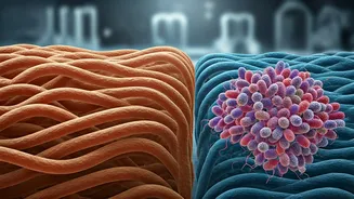 Fiber vs. Probiotics: Unlocking Your Gut Health's True Potential